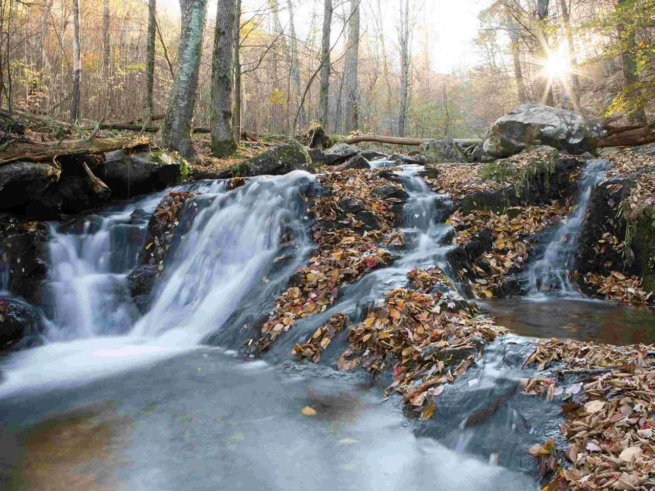 Best visiting time in Shenandoah National Park