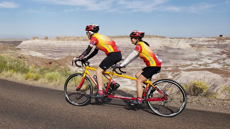 Bicycles are allowed at Petrified Forest National Park