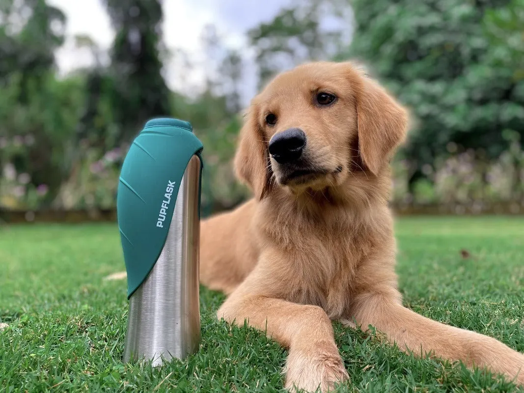 dog water bottle for hiking