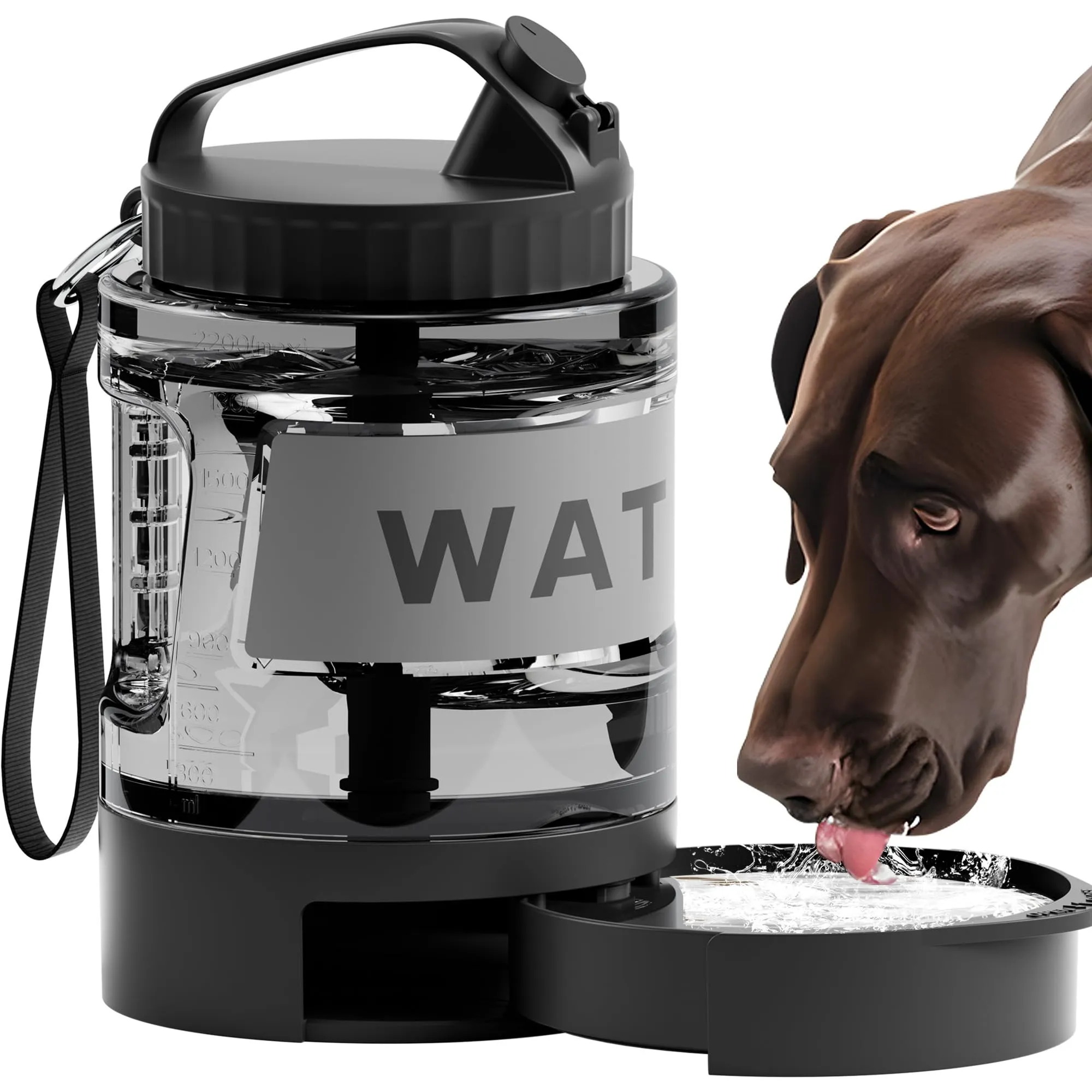 dog water bottle for hiking