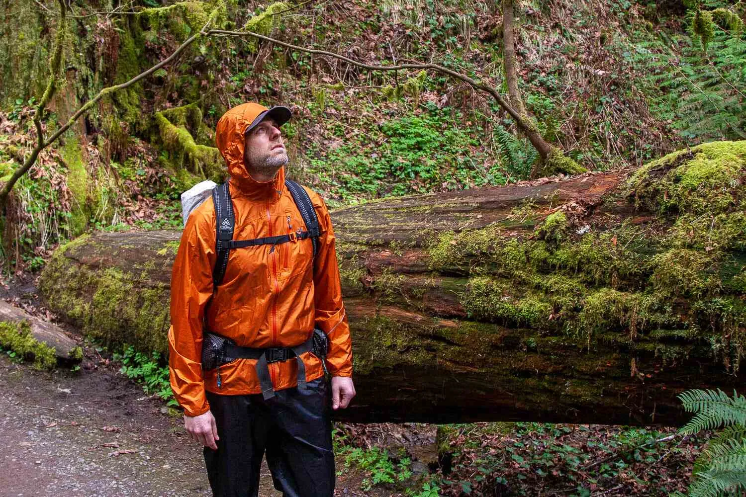 Sequoia camping gear checklist