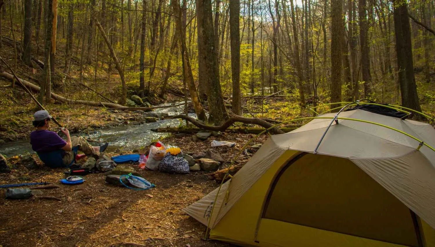 shenandoah national park backpacking