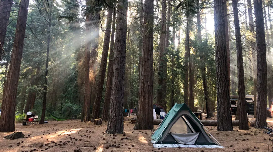 Stock Campsite in Kings Canyon National Park