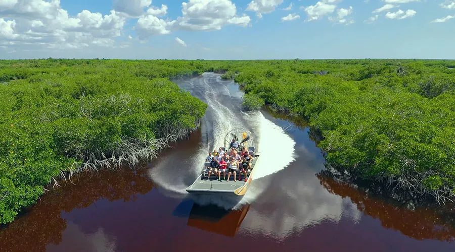 Some areas have winding channels bordered by mud and seagrass, dividing the shallow waters of Florida Bay