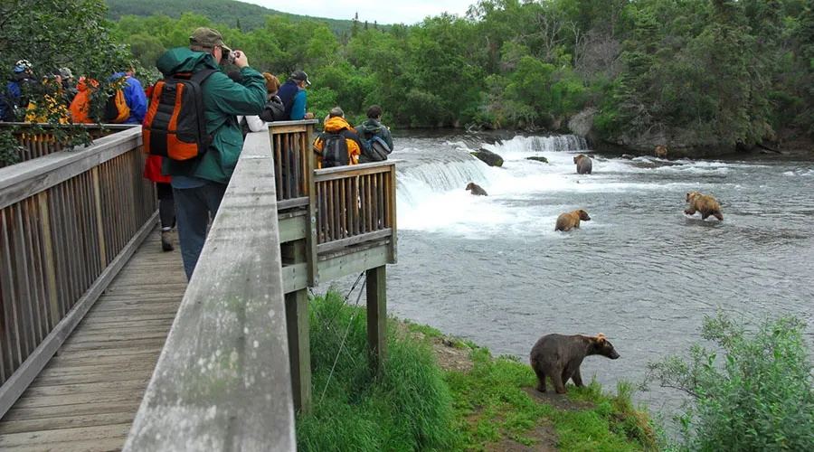 Most people think bears when they mention Katmai