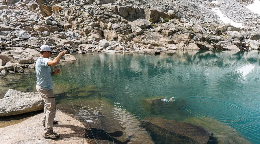 Most areas in Kings Canyon National Park allow fishing, as well as the adjacent national forests