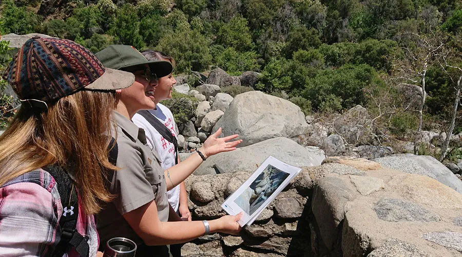 Guests can gain insights into bears and other fascinating mountain wildlife
