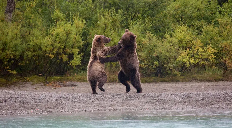 For an extended stay in Lake Clark, Port Alsworth is a top choice for accommodation
