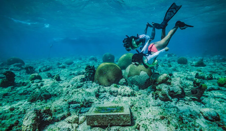 Trunk Bay is renowned for its underwater snorkeling trail