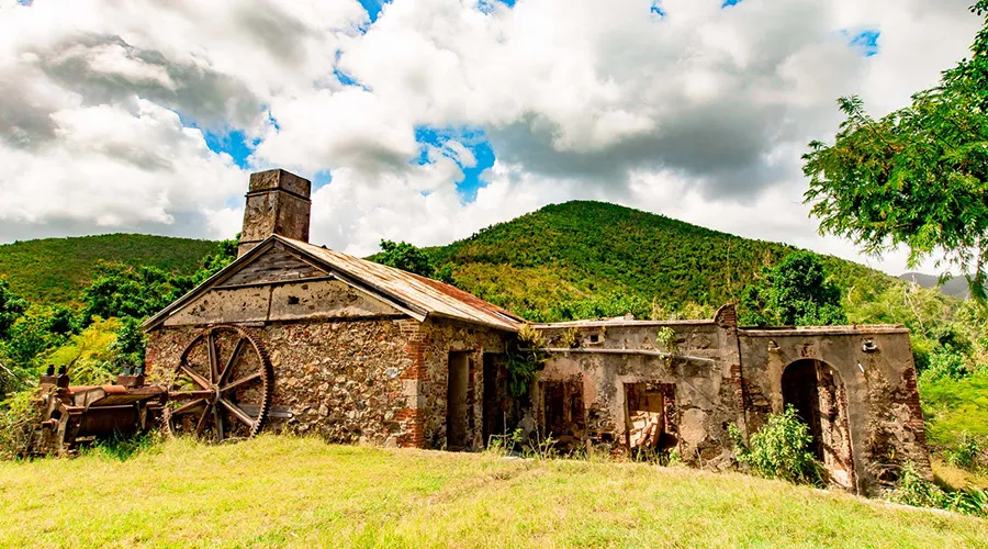 Reef Bay Trail offers past historic ruins, and down to the tranquil shores of Reef Bay