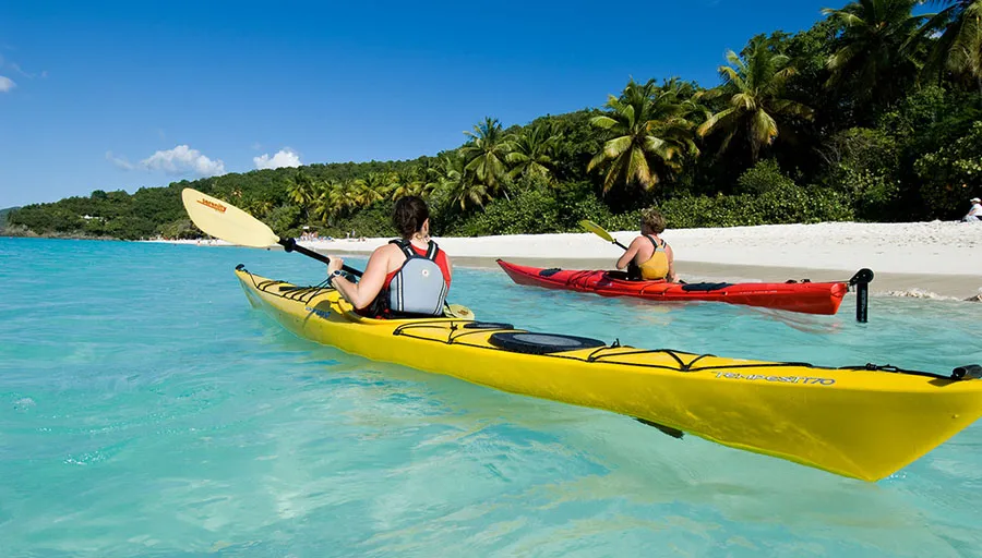 Kayaking for an informative and enjoyable experience