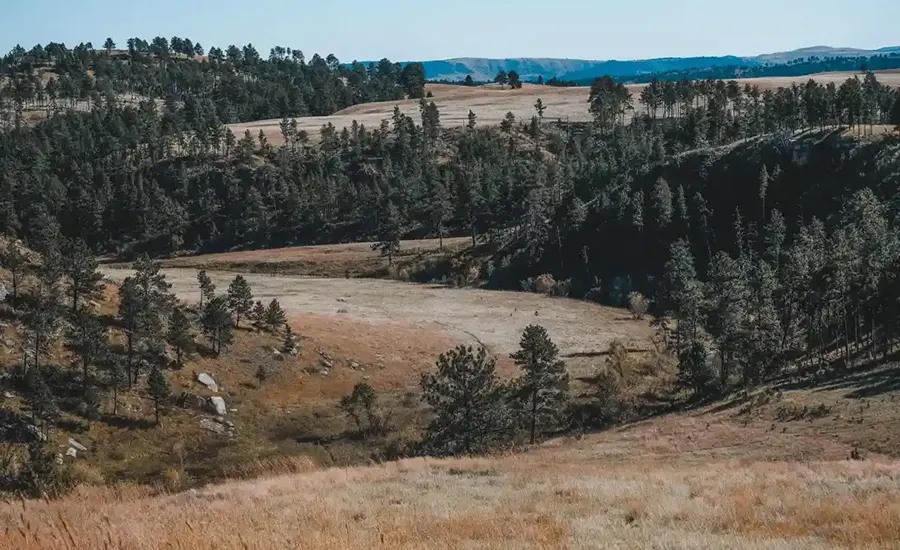 Rankin Ridge Hike: The Best View In Wind Cave National Park