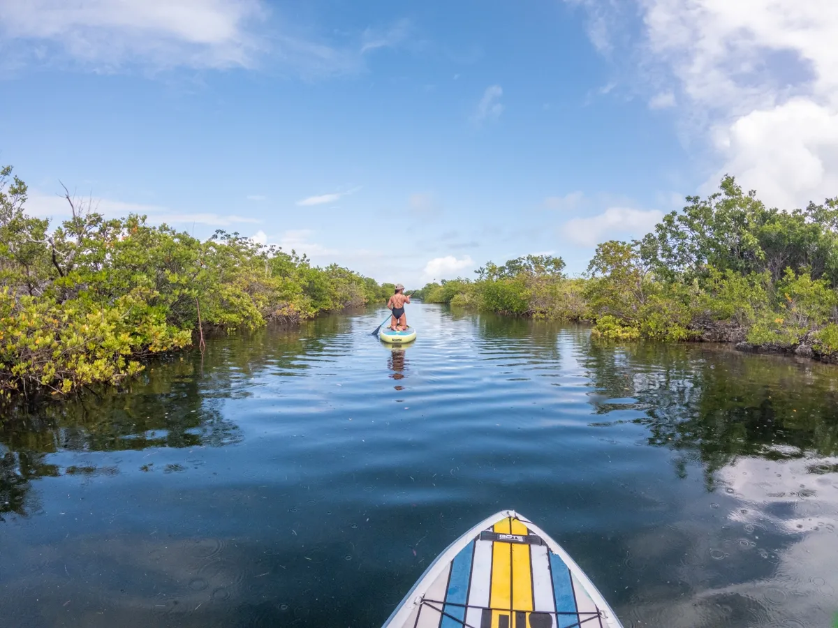 kayaking biscayne national park