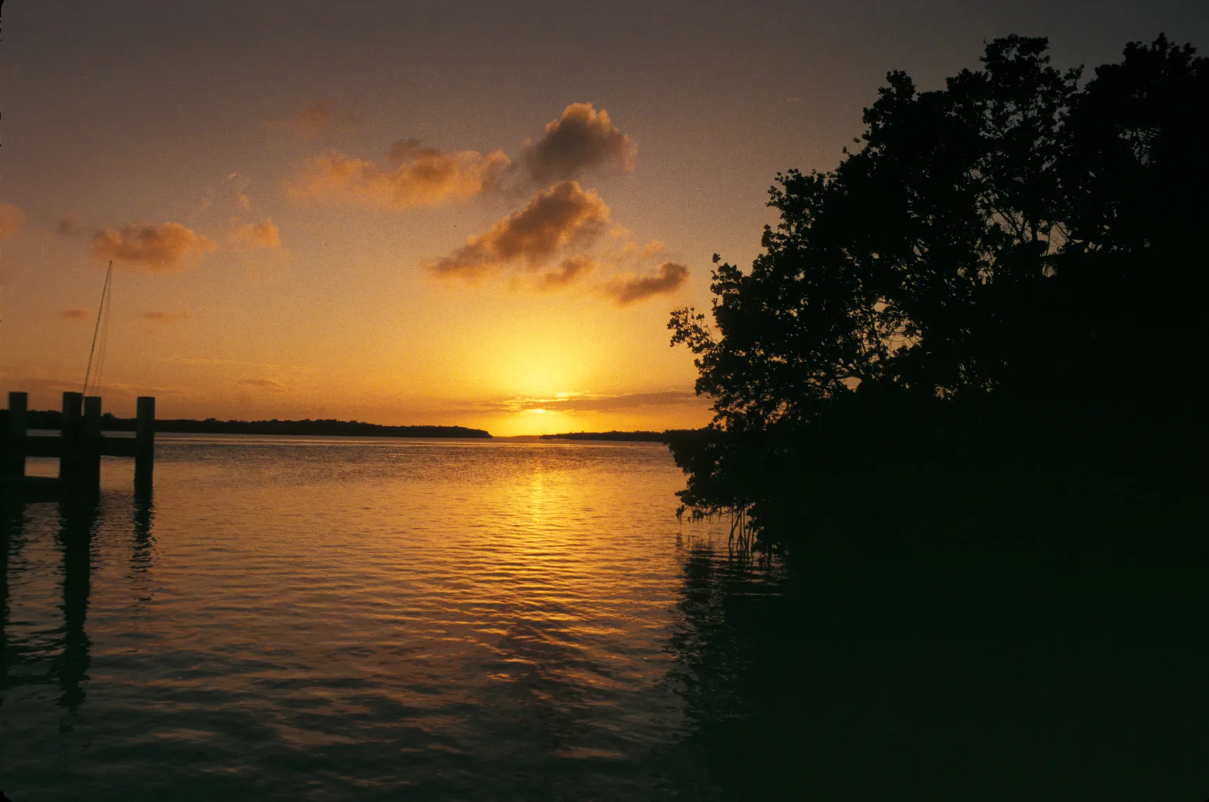 kayaking biscayne national park