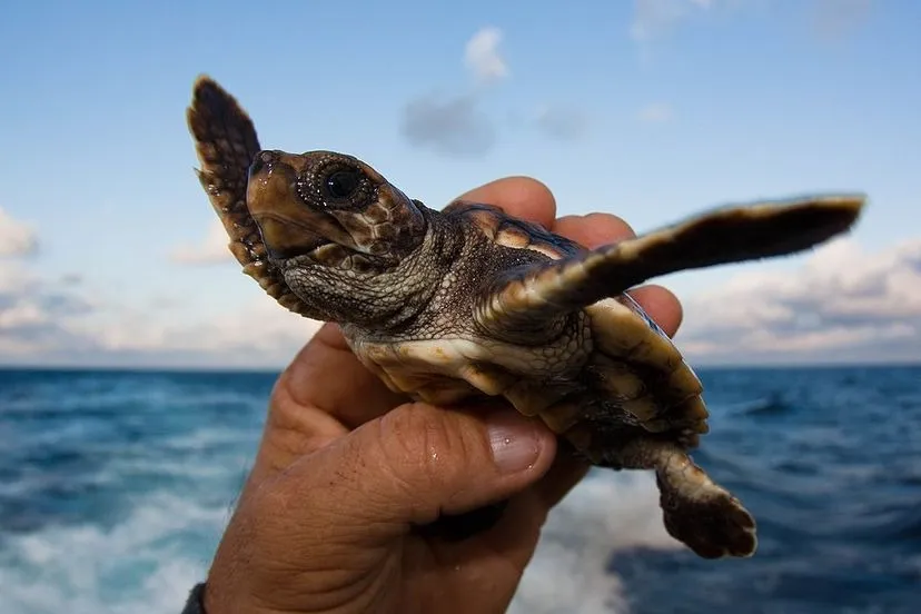 one day in biscayne national park