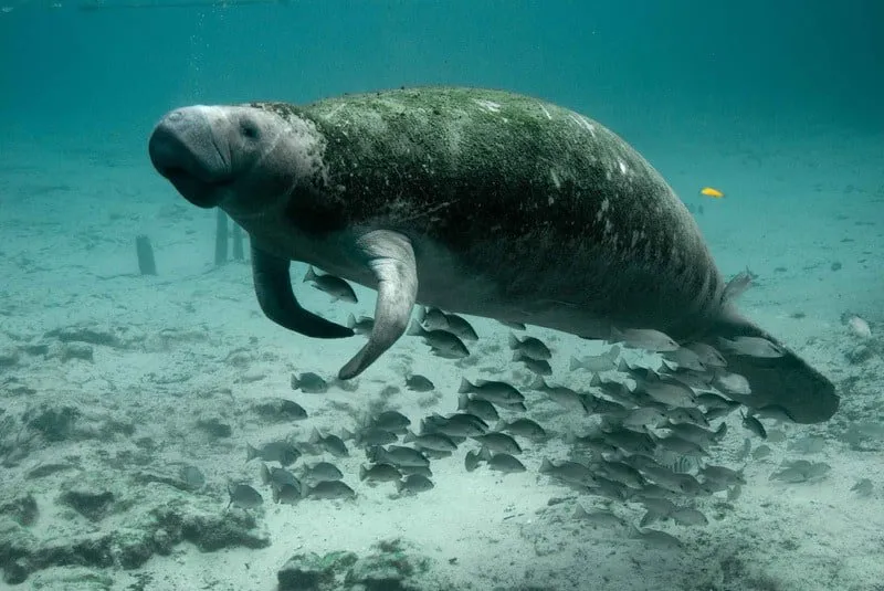 one day in biscayne national park
