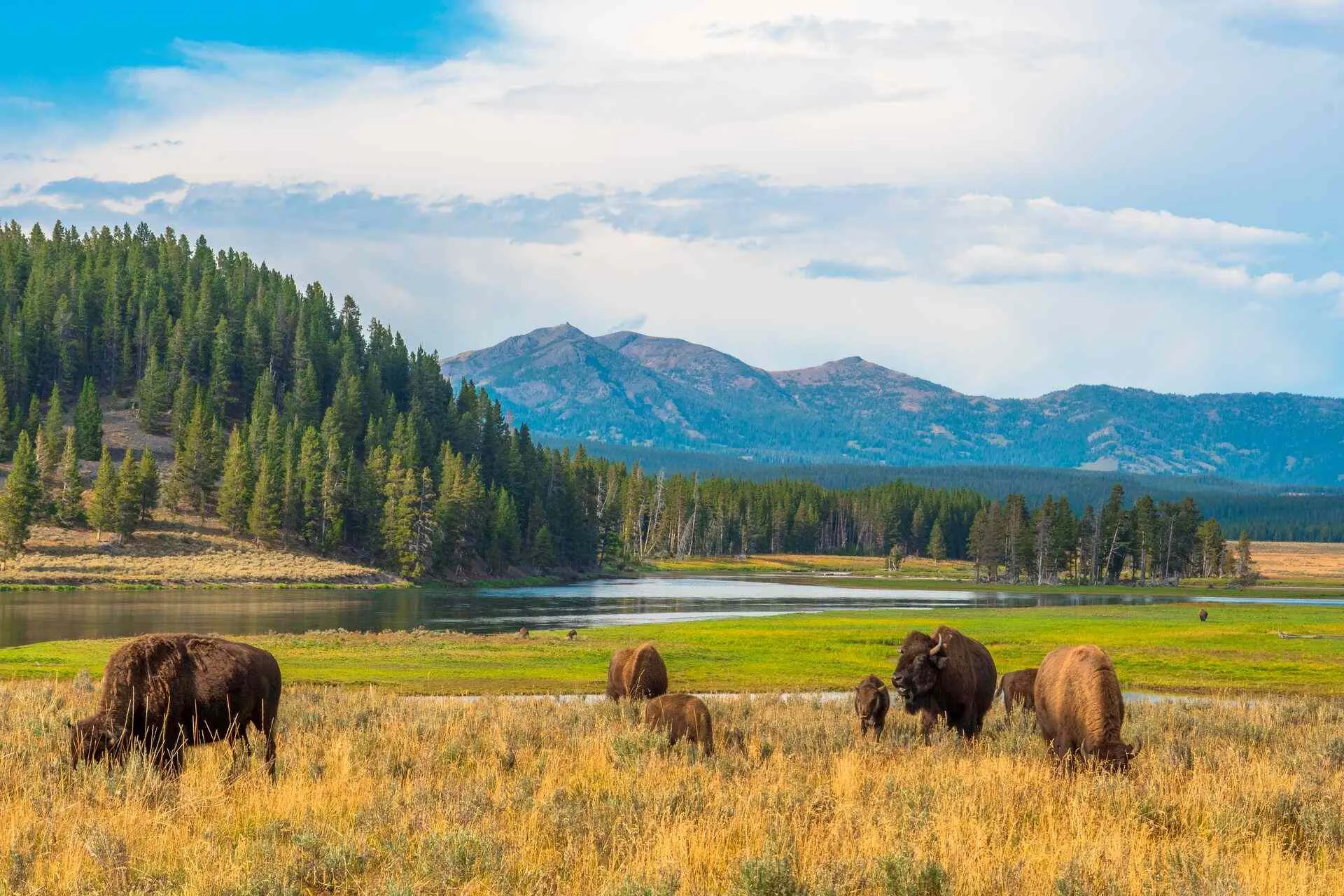 yellowstone national park weather
