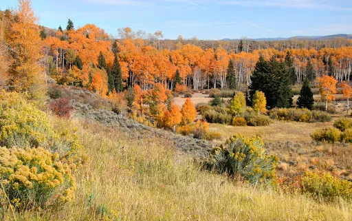 yellowstone national park weather