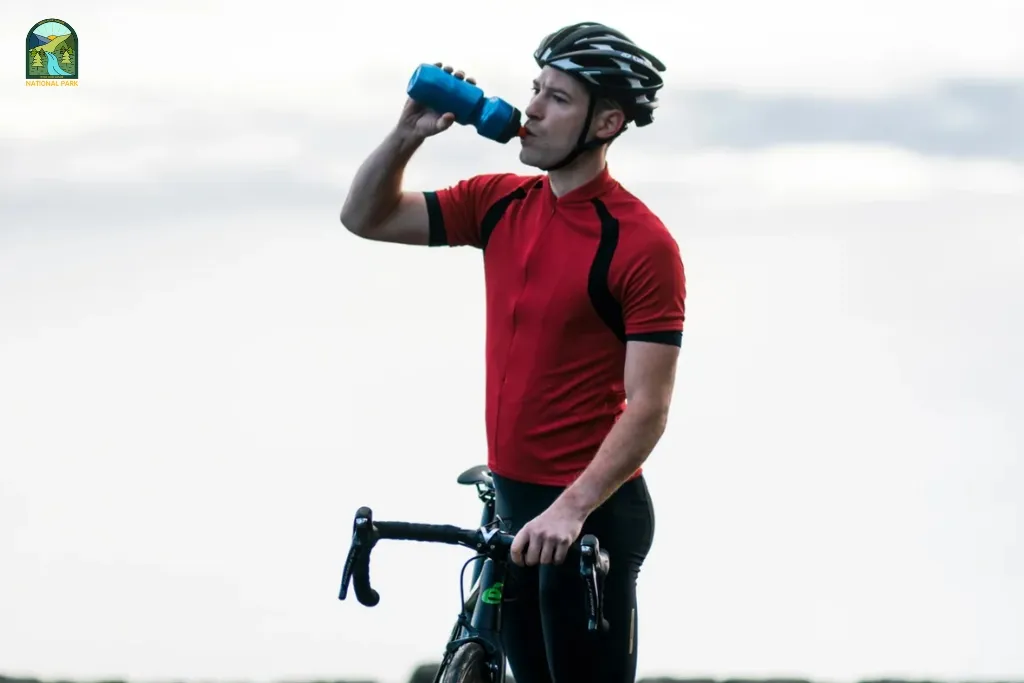 Best Water Bottles for Biking