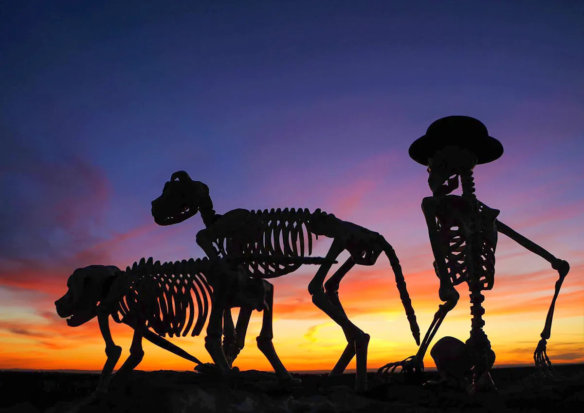 Grand Canyon Tour for Halloween Visiting the Grand Canyon is a bucket-list item for many