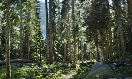 30 Days Lost in North Cascades A photo of the North Cascades national park in Washington state.