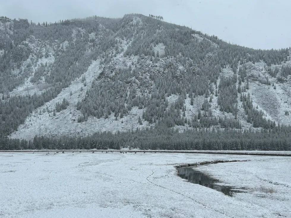 Snowstorm Blankets Yellowstone National Park Snowstorm Blankets Yellowstone National Park