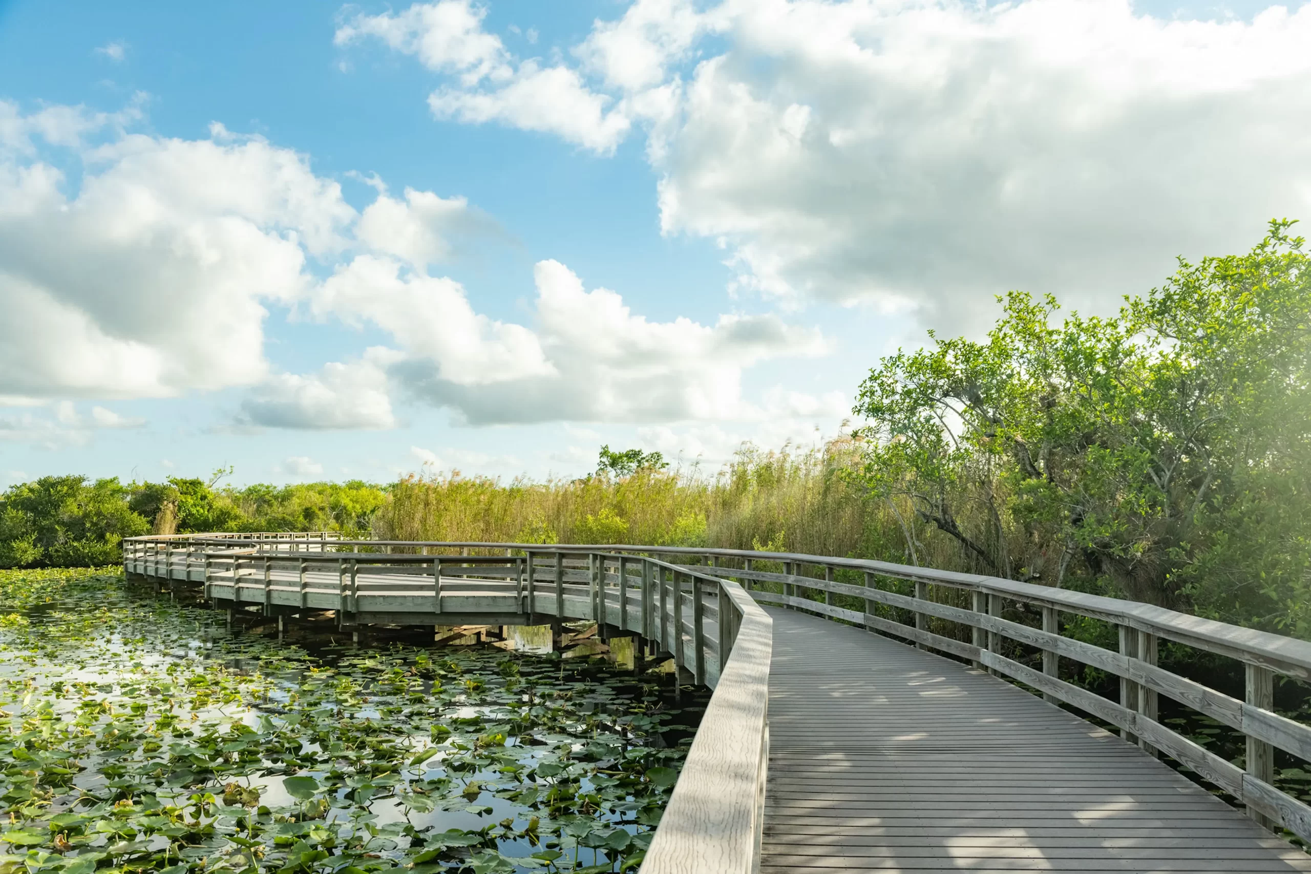 Underrated National Parks Everglades National Park, Florida