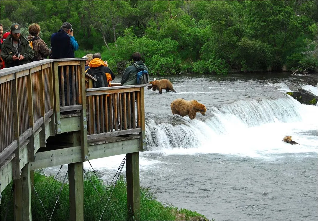 Underrated National Parks Katmai National Park, Alaska