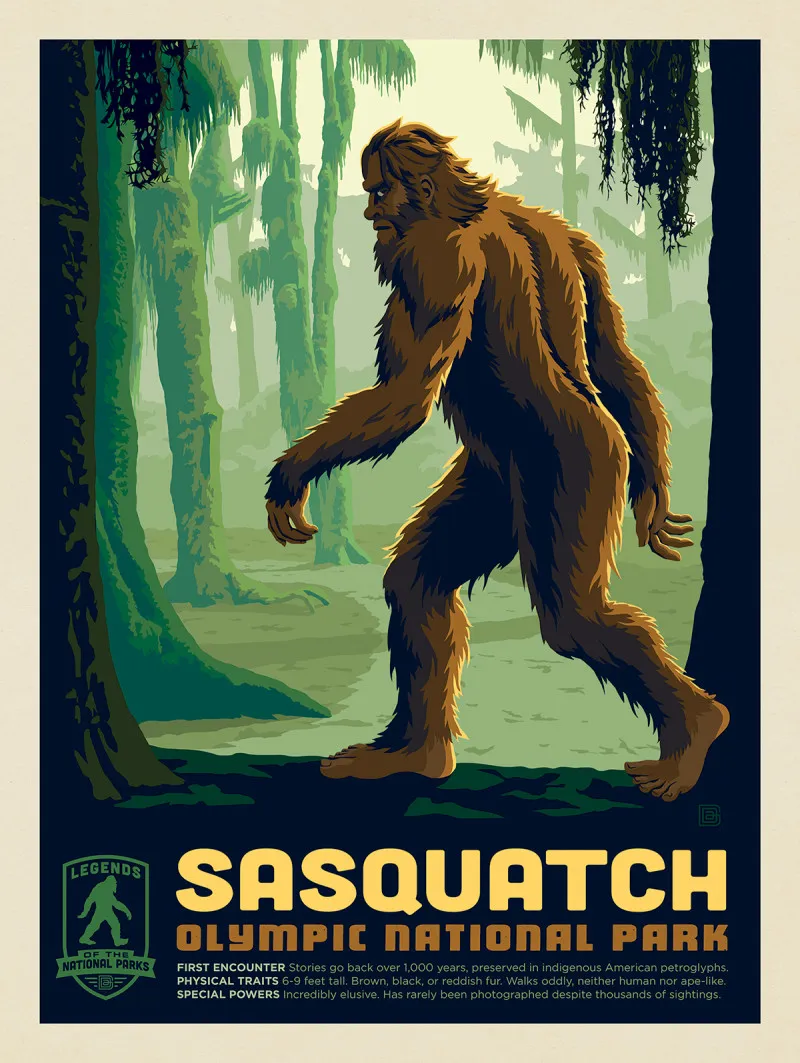 Bigfoot Legends of the National Parks Some hikers have reported glimpses of a figure standing over seven feet tall with a thick, dark coat of hair, often seen at a distance before disappearing into the forest.