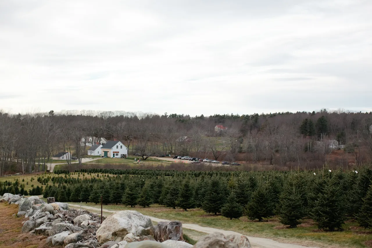 Christmas Tree Farms in the U.S Christmas Tree Farms in the U.S