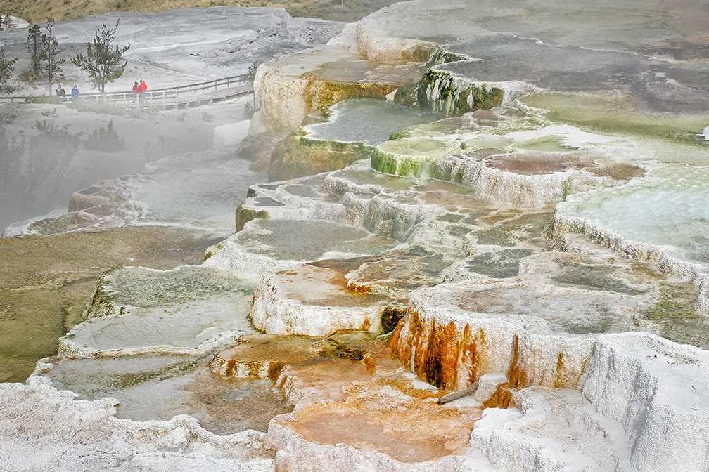 nyc to yellowstone national park
