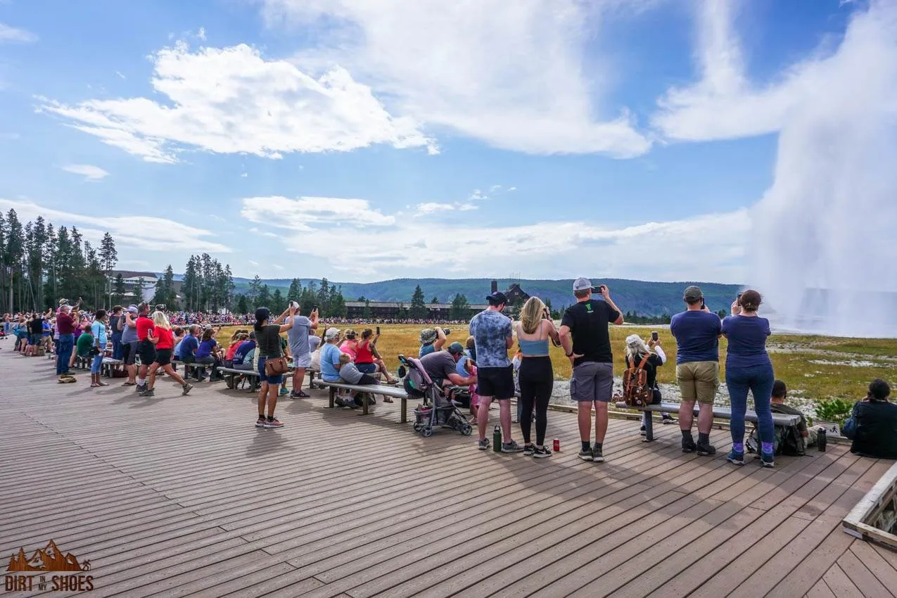yellowstone national park in august