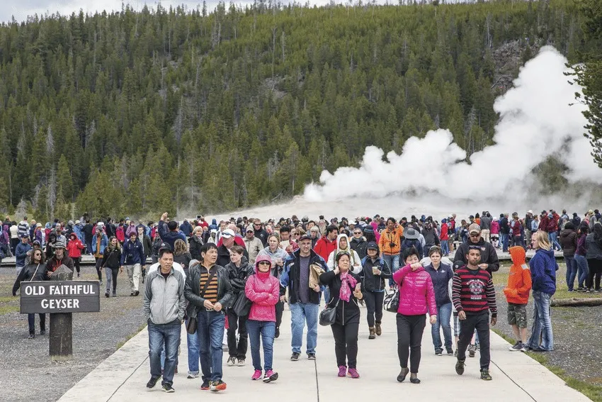 yellowstone national park in august