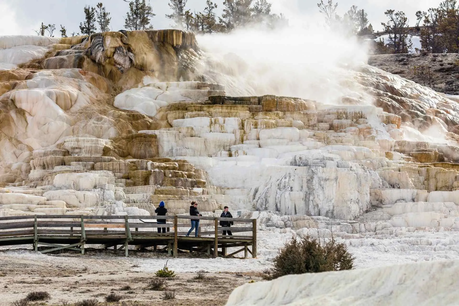 yellowstone national park north entrance
