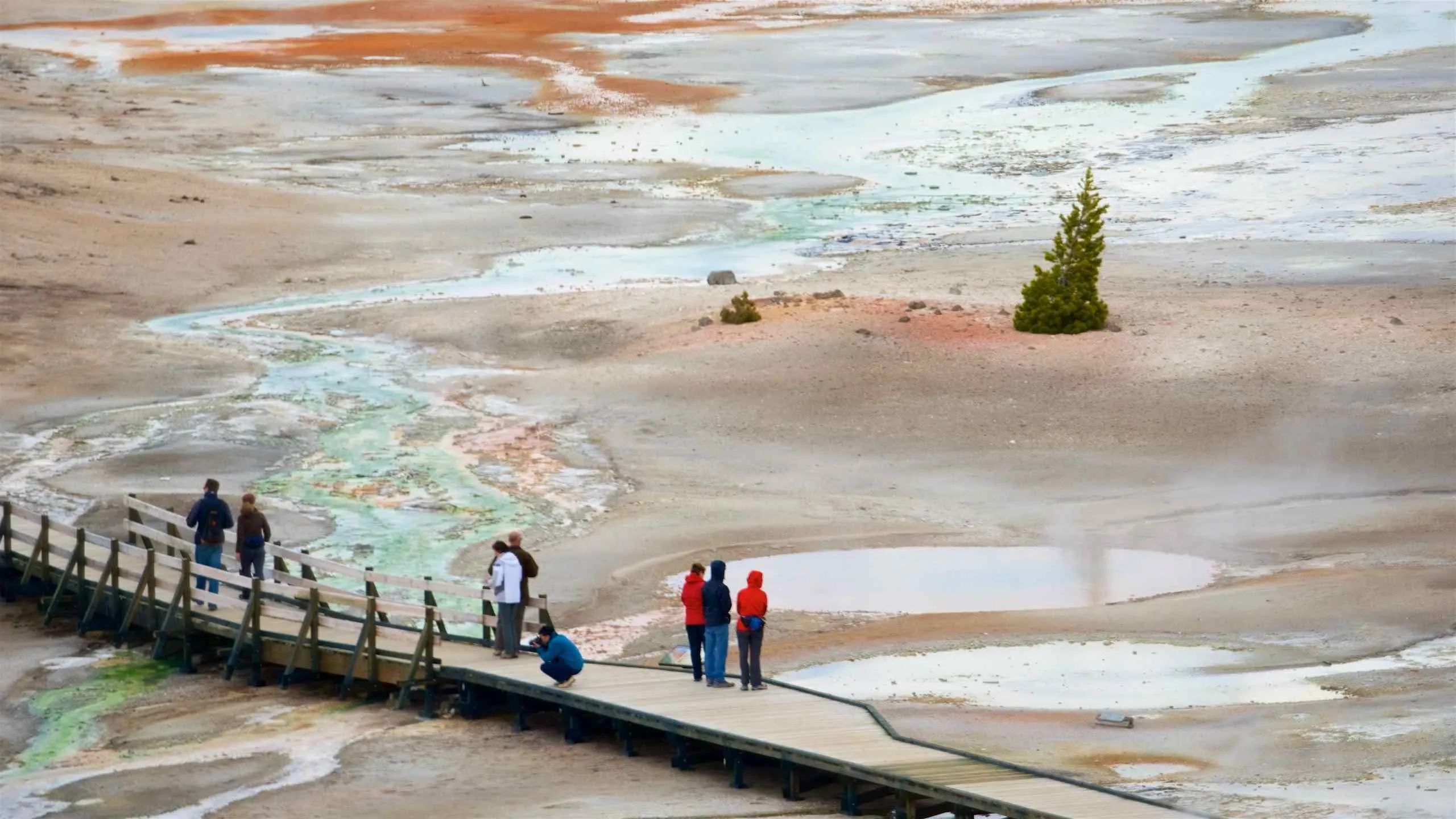 yellowstone national park north entrance