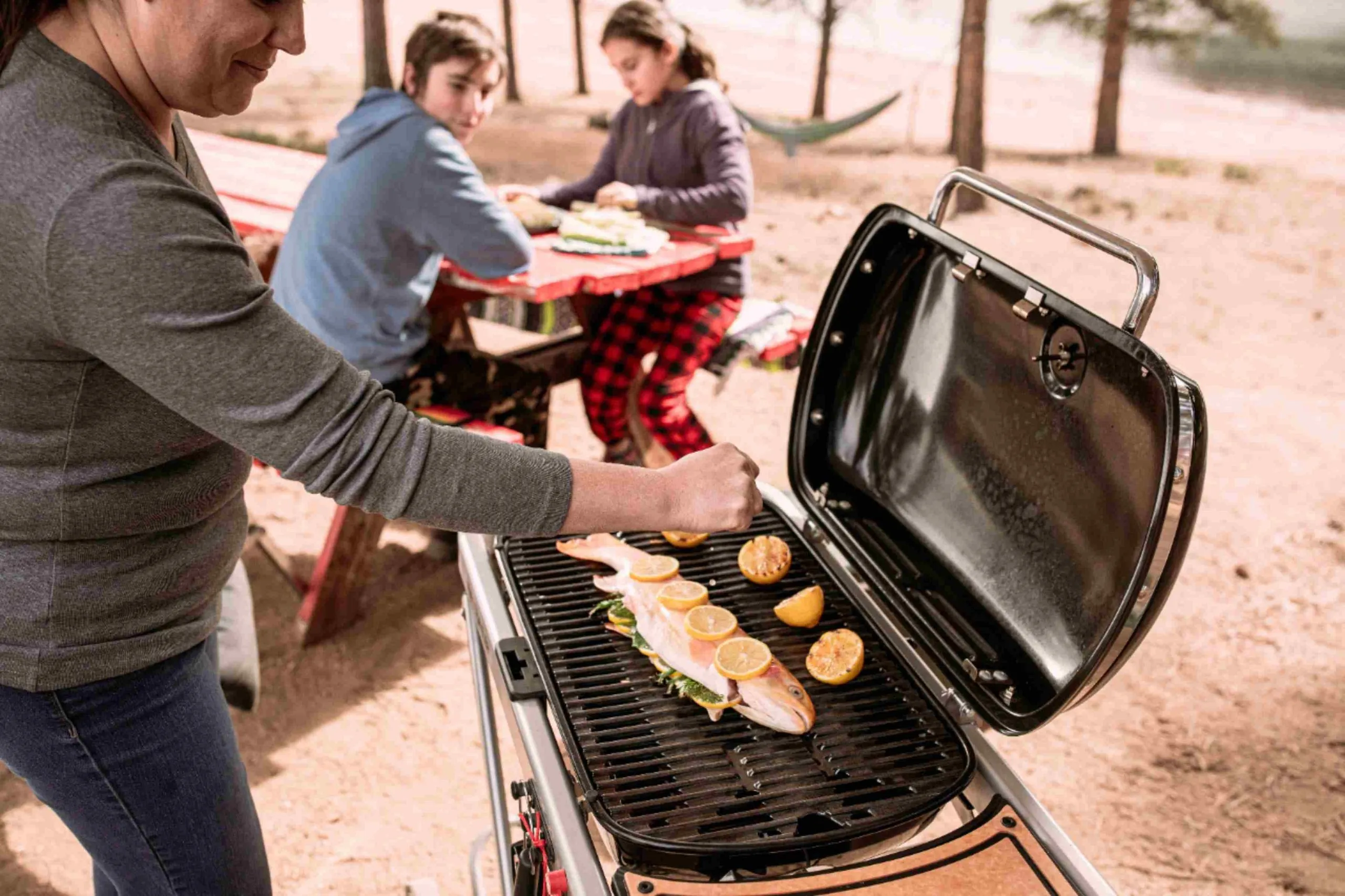 best portable camping grills
