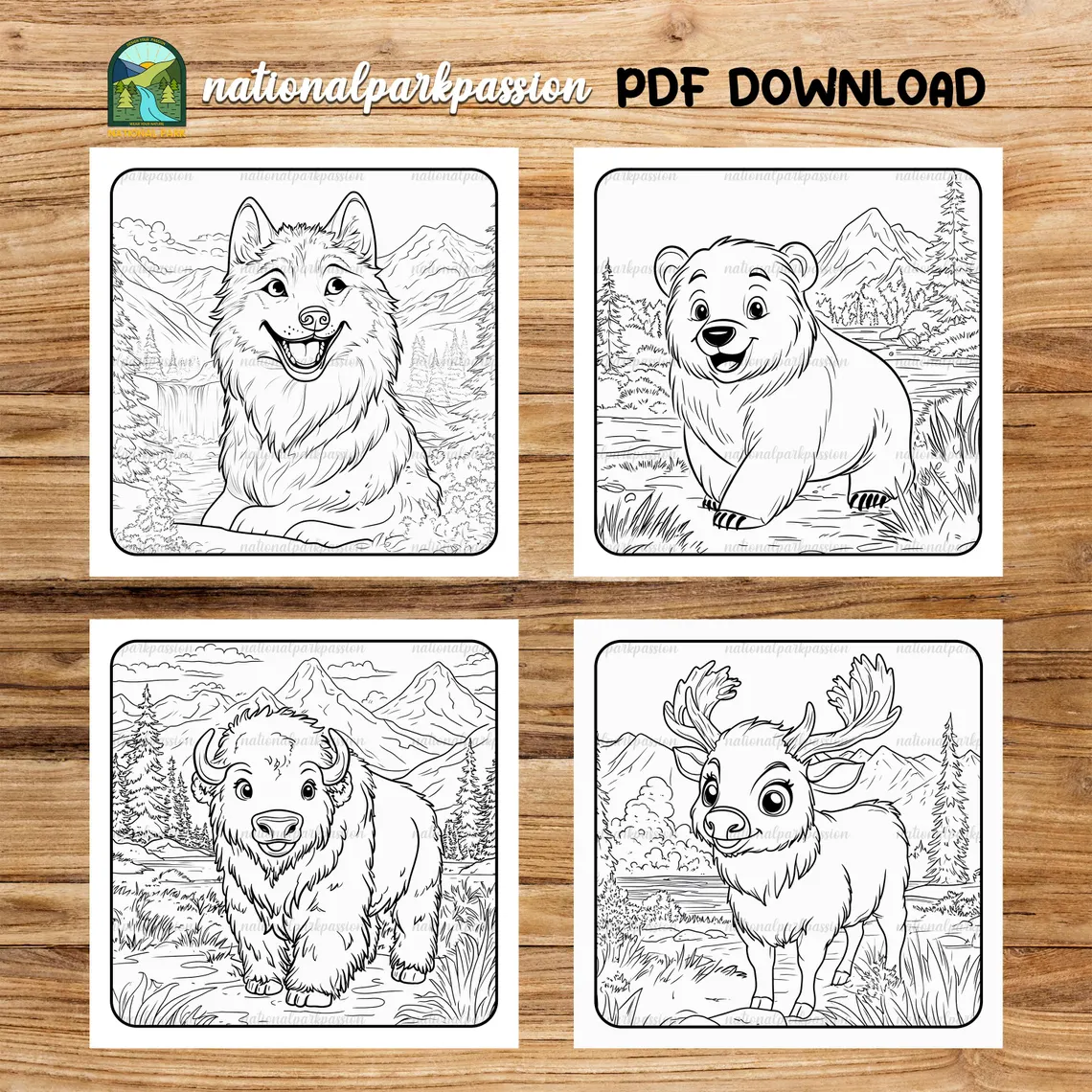 National Park Coloring Book National Park Coloring Book