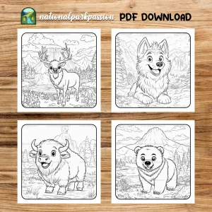 Animals Coloring Books For Kids