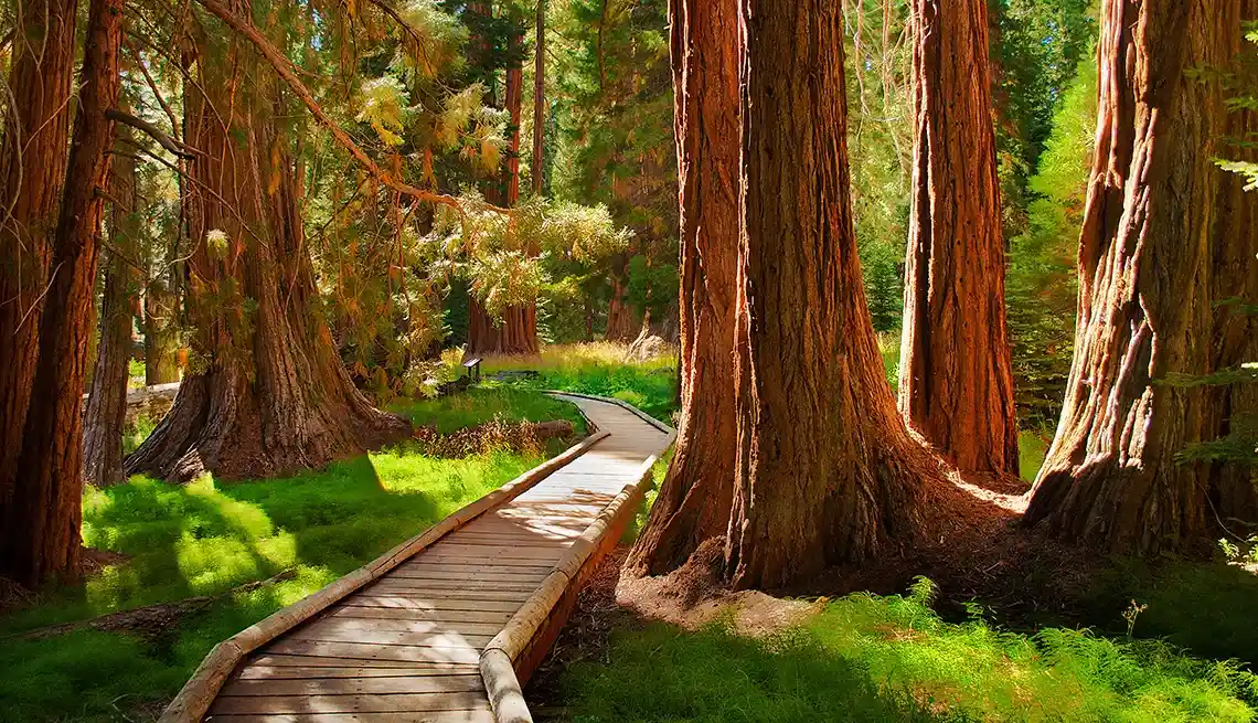 best national parks in the us