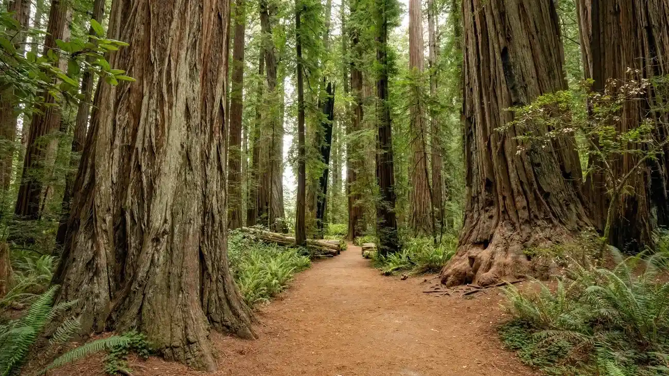 best national parks in the us