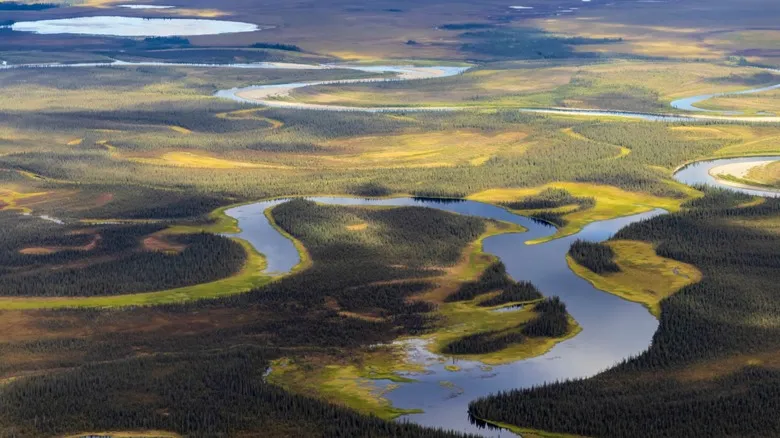 largest national park in the us