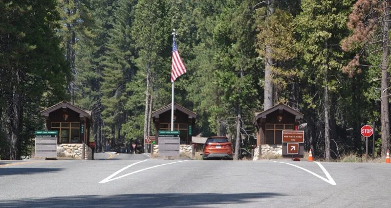 Mariposa Grove is home to over 500 mature giant sequoias