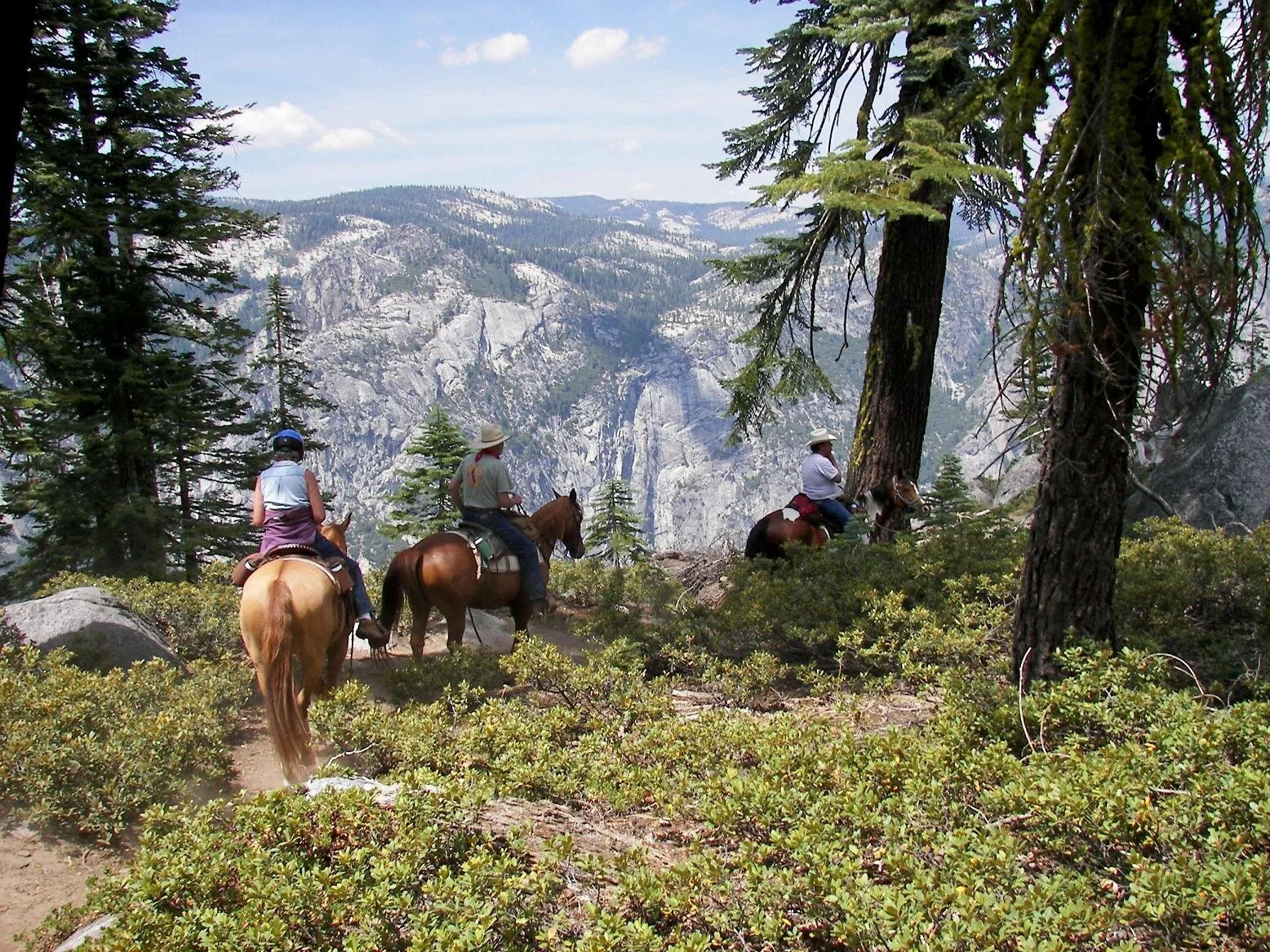 Several outfitters offer horseback riding tours