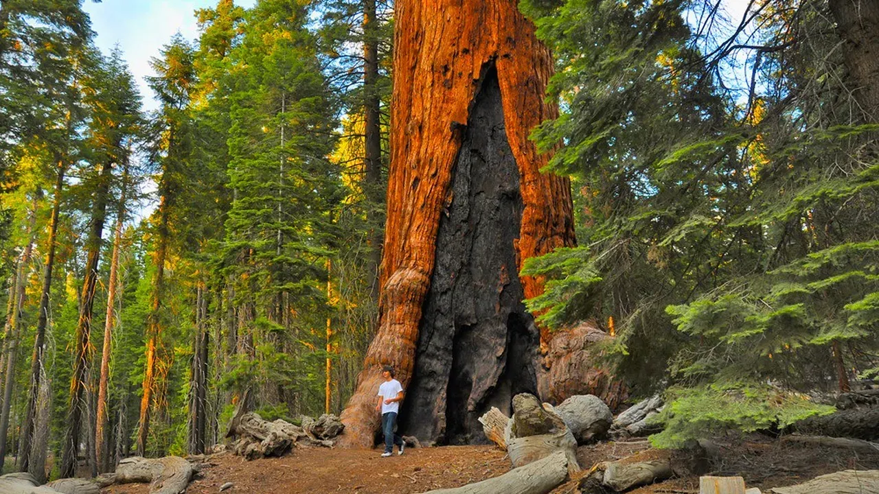 yosemite national park in november