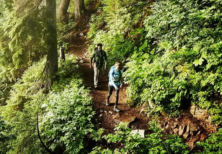 benefits of hiking