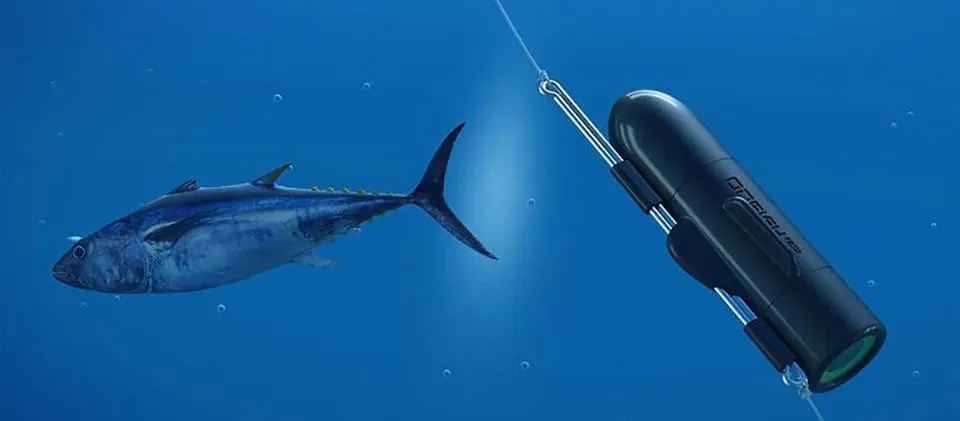 post-7 Best Underwater Fishing Cameras for Boats: Full Review