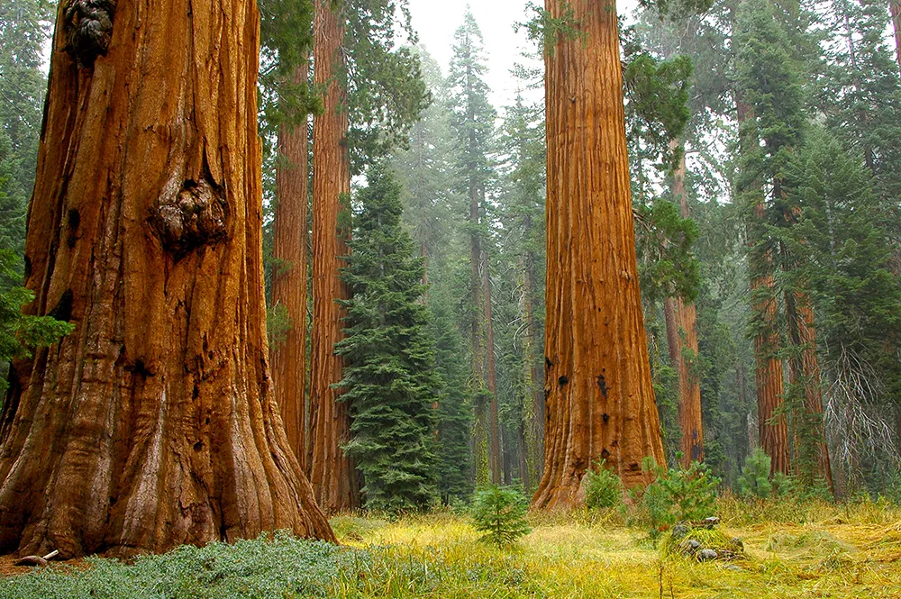 things to do in yosemite