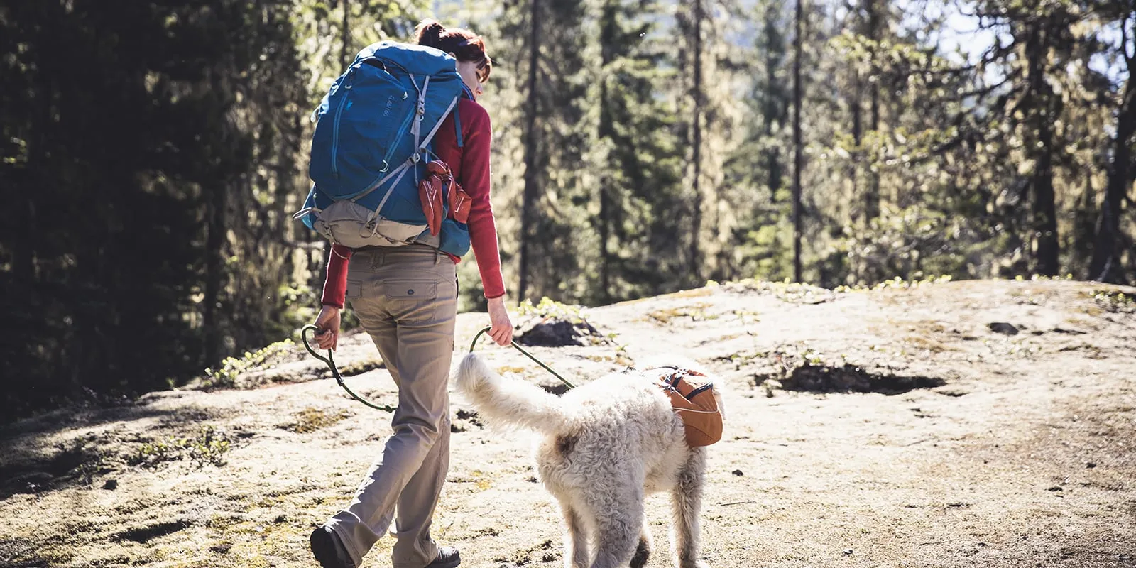 hiking gear for dogs