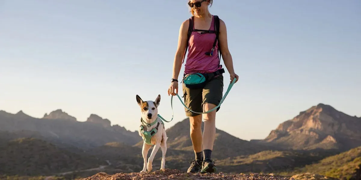 hiking gear for dogs