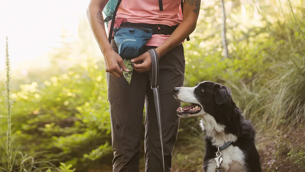 hiking gear for dogs